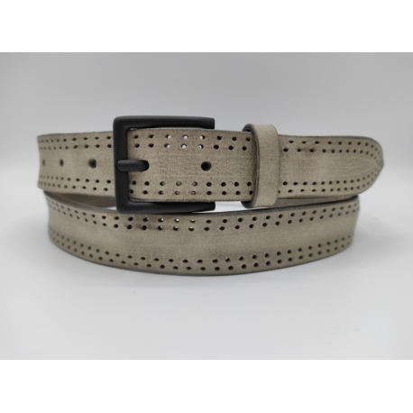 Belt Reggio